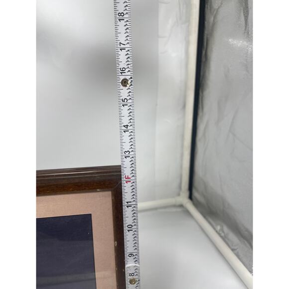 Folk Art Cardinal by WulFF Orignal Art Wildlife Bird Professional Framed - Picture 4 of 8